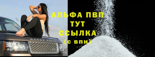 индика Хадыженск
