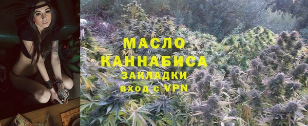 индика Хадыженск