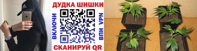 Марихуана Ganja  OMG рабочий сайт  Мостовской 